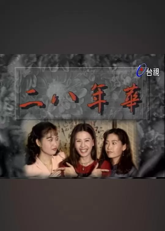 二八年华